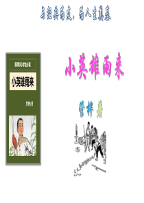 (六上)语文优秀课件《小英雄雨来》名著导读-(20页)部编版