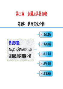 .热点突破----Na2CO3和NaHCO3与盐酸反应的图像分析