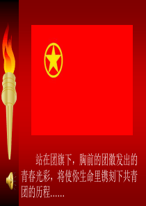 共青团的光辉历程