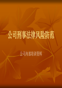 民营公司刑法律风险及防范