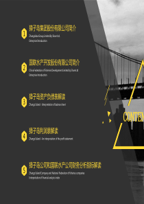 财务报表分析(共30张PPT)