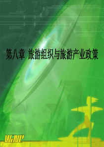 第八章-旅游组织