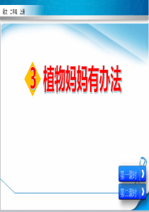 +部编版二年级上册语文《3-植物妈妈有办法》课件