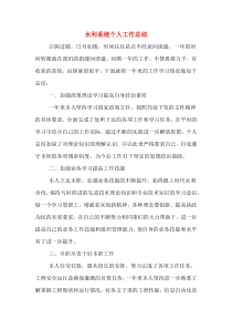 2019年水利系统个人工作总结