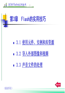 Flash元件