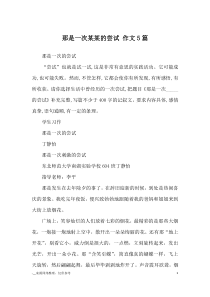 那是一次某某的尝试-作文5篇-优秀作文