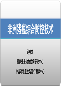 非洲猪瘟综合防控技术-培训课件