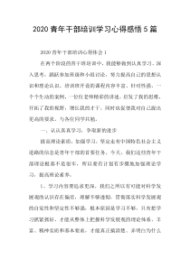 2020青年干部培训学习心得感悟5篇