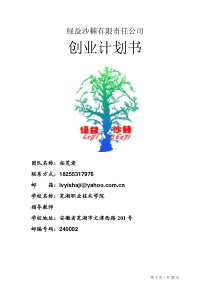 029-绿益沙棘创业计划书（DOC32页）
