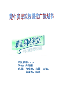 蒙牛真果粒营销策划书