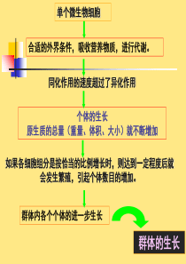 微生物的生长及控制