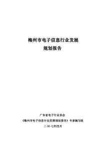 梅州市电子信息行业发展