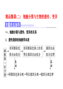 精品微课(二)-细胞分裂与生物的遗传、变异
