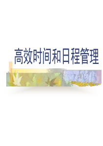 0307高效时间和日程管理