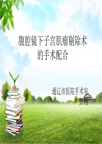 腹腔镜下子宫肌瘤剔除术的手术配合--ppt课件