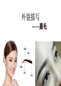 6、小学作文专题外貌描写——眉毛