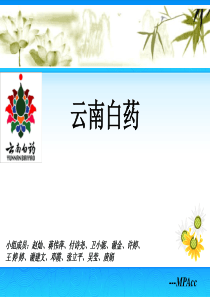 云南白药财务分析