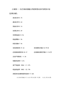 小案例东方海岸游艇公司的财务比率与财务计划