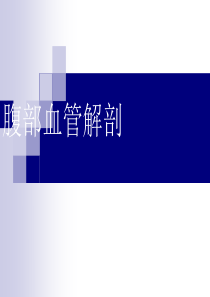 (完整版)腹部血管解剖(静脉+动脉)