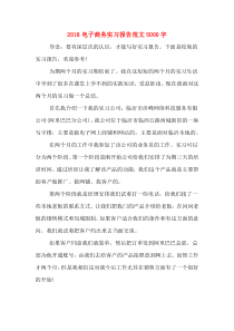 2018电子商务实习报告范文5000字