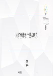 网红经济--ppt课件