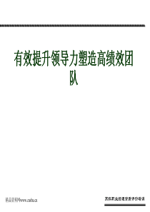 038_有效提升领导力塑造高绩效团队(ppt46)