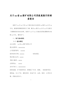 xxx煤矿尽职调查报告（DOC11页）