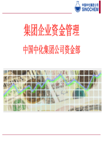 集团企业资金管理----中国中化集团公司资金部-