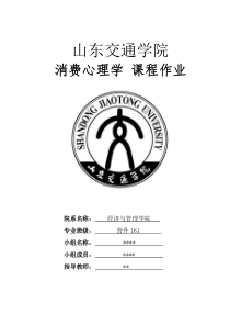 消费者态度与购买行为完善的案例分析