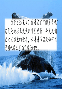 习作例文：《鲸》《风向袋的制作》
