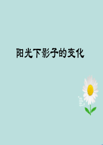 阳光下的影子的变化