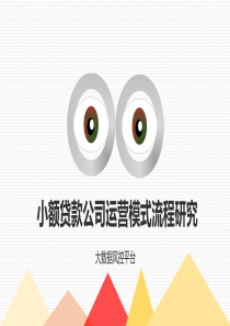 小额信贷运营模式(最新)