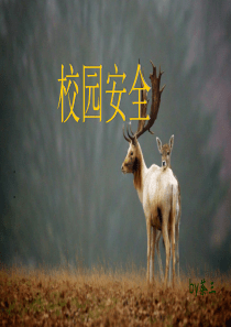 中学生安全教育课件