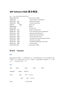 SAP-HCM-Schema-CN28详解