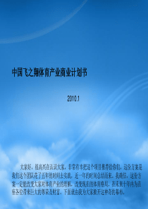 XXXX年中国飞之翔体育产业商业计划书