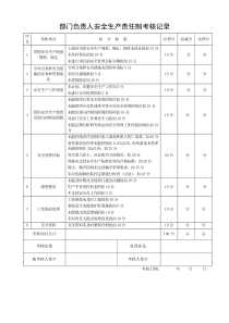 安全生产责任制考核表(主要负责人)