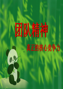 ppt团队精神课件-文综