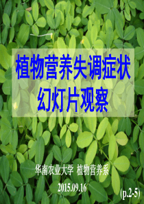 植物缺素症状诊断
