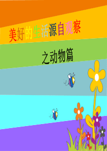 三年级作文-小动物(课堂PPT)