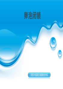 卵泡闭锁