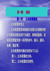 公共政策概述