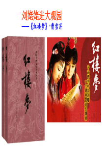 九年级上-《刘姥姥进大观园》ppt课件-