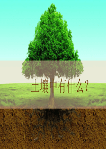 土壤中有什么ppt