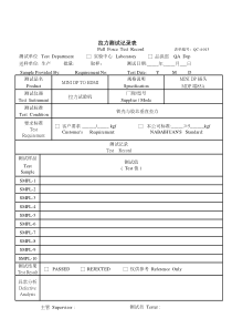 拉力测试报告
