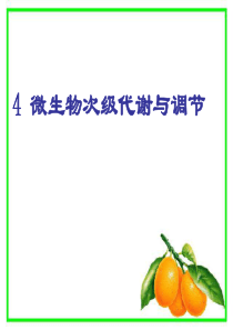 微生物次级代谢