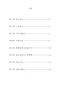 创业计划书最终打印版