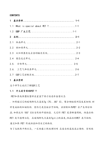 SSP-工艺说明