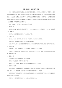 2017电商运营总监年度工作计划