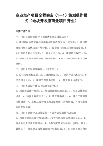 商业地产项目全程驻店(1+1)策划操作模式(地块开发至商业项目开业)_