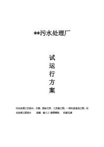 污水处理厂试运行方案
